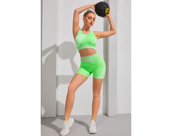 Sleeveless Sports Bra and Shorts Set